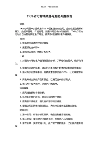 TKN公司营销渠道再造的开题报告