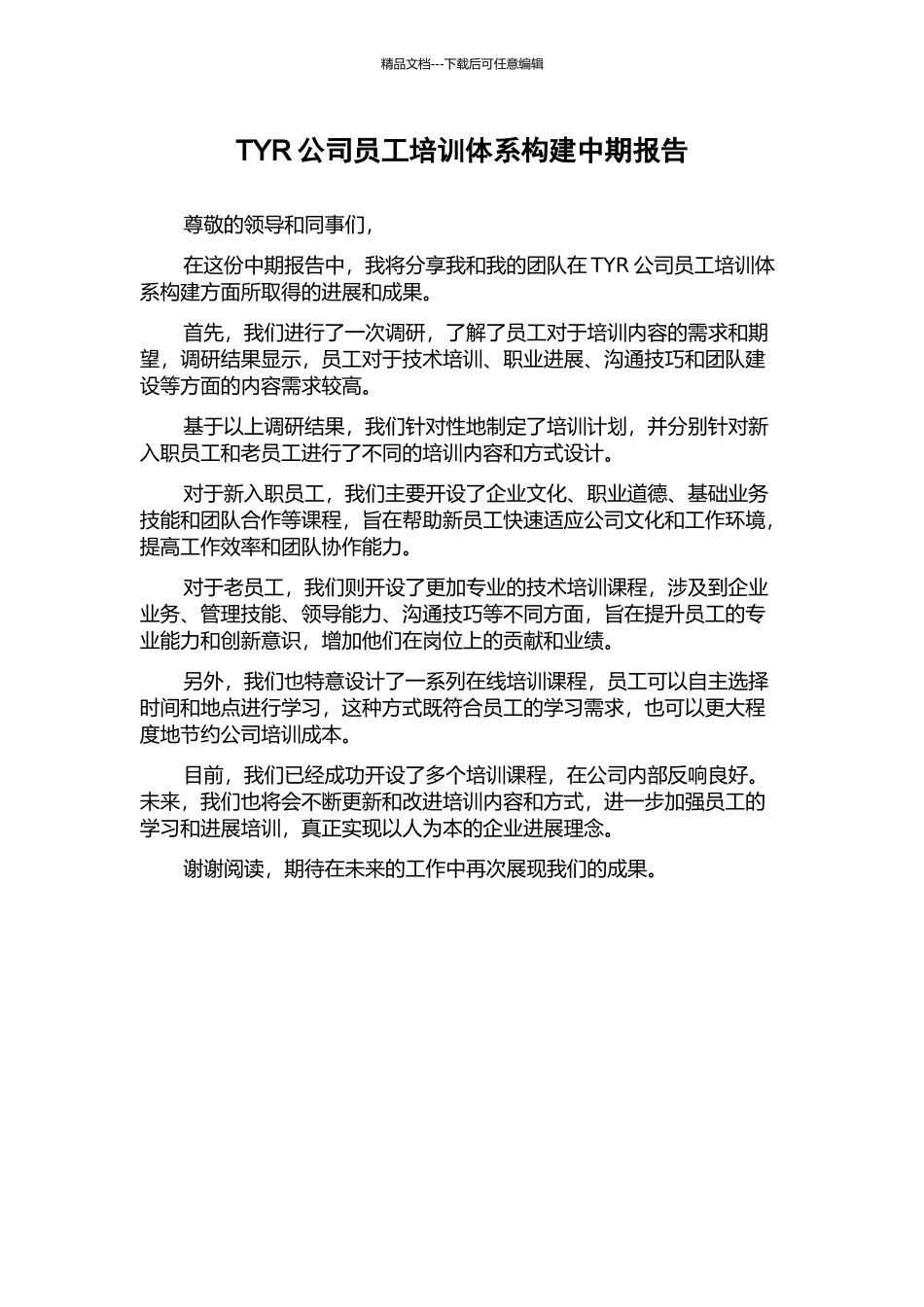 TYR公司员工培训体系构建中期报告_第1页