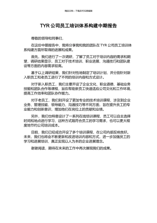 TYR公司员工培训体系构建中期报告