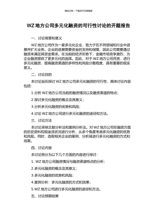 WZ地方公司多元化融资的可行性研究的开题报告