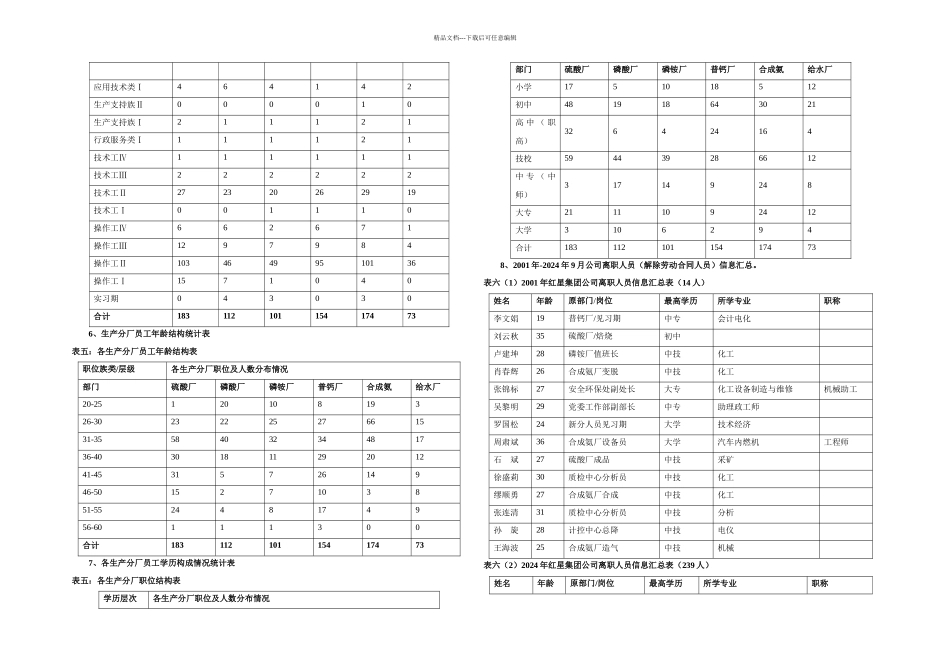 xx公司人力资源规划方案_第2页