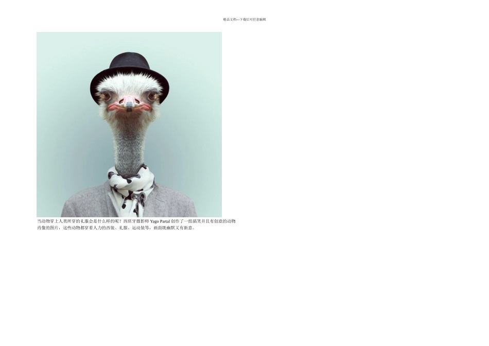 YagoPartal的动物肖像画欣赏中赫分享_第1页