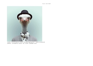 YagoPartal的动物肖像画欣赏中赫分享