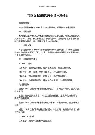 YDS企业发展战略研究中期报告