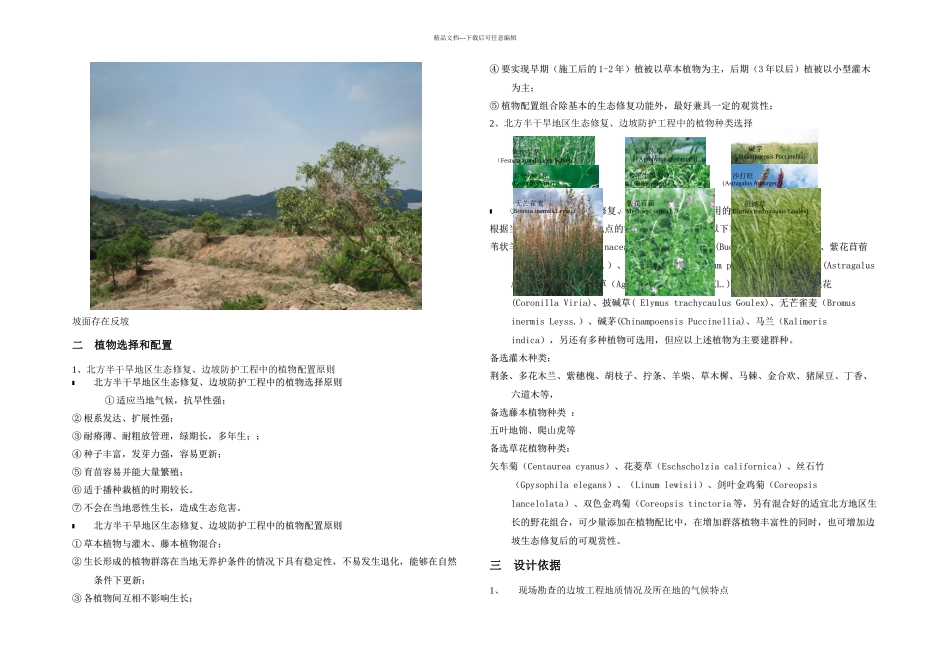 y生态袋护坡施工方案_第2页