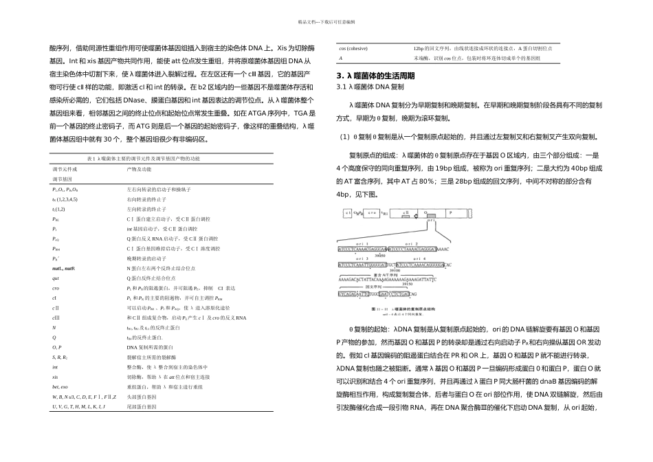 λ噬菌体的裂解性和溶原性_第3页
