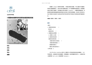 λ噬菌体的裂解性和溶原性