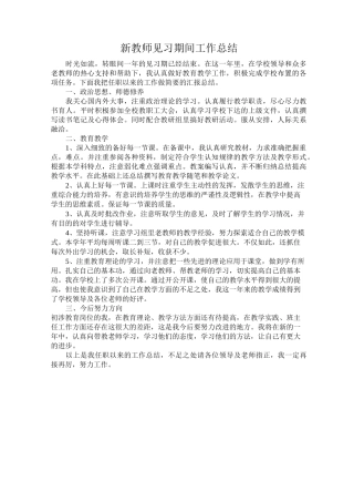 新教师见习期间工作总结