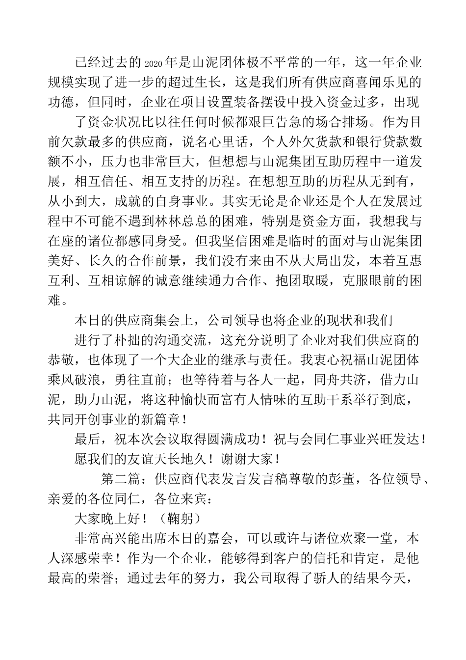供应商代表发言_第2页