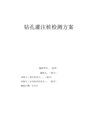 钻孔灌注桩检检测方案 