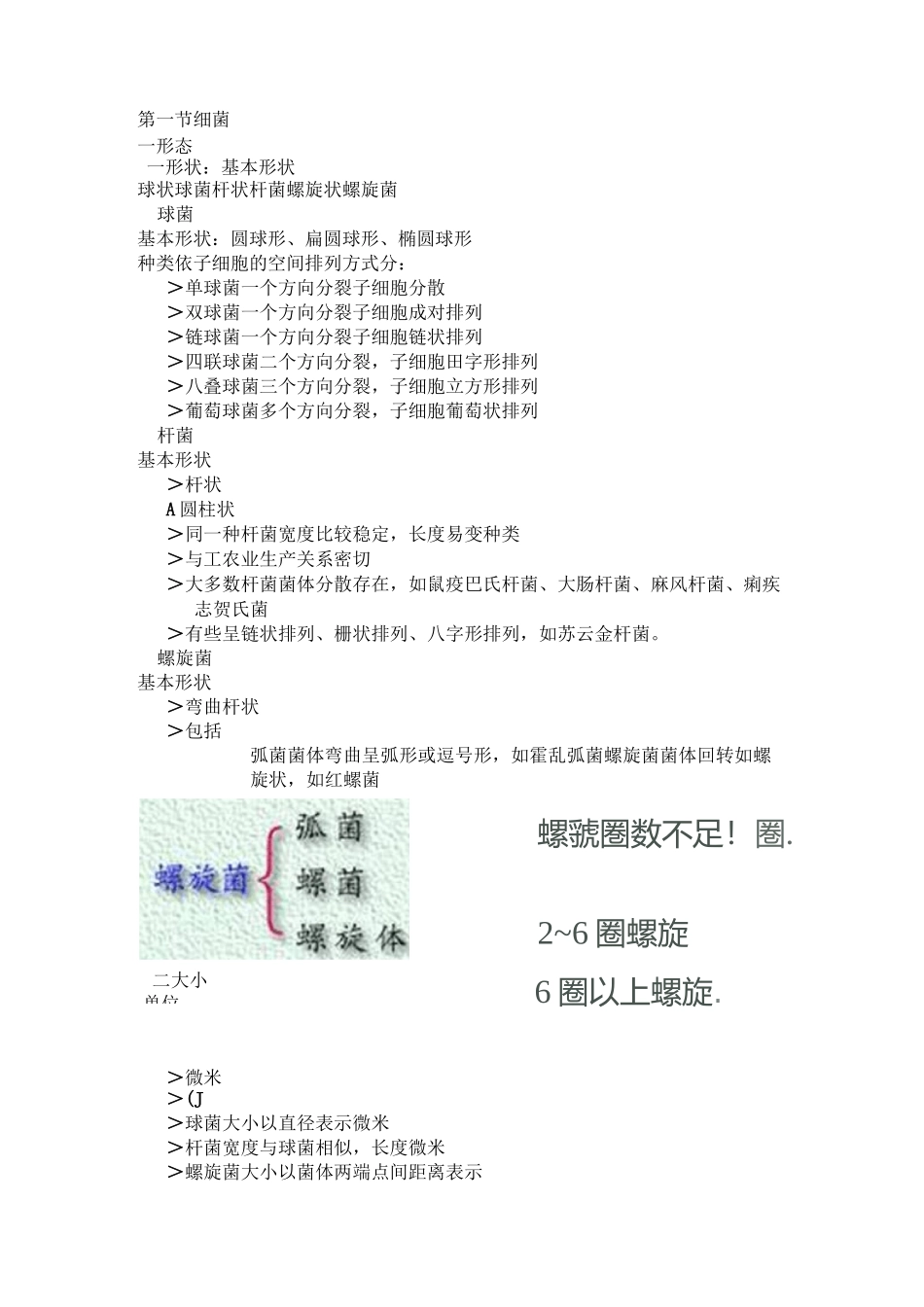 原核细胞型微生物形态结构_第1页