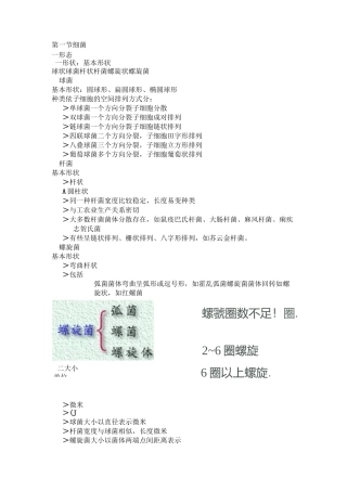 原核细胞型微生物形态结构