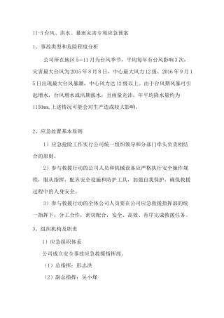 台风洪水暴雨灾害专项应急预案