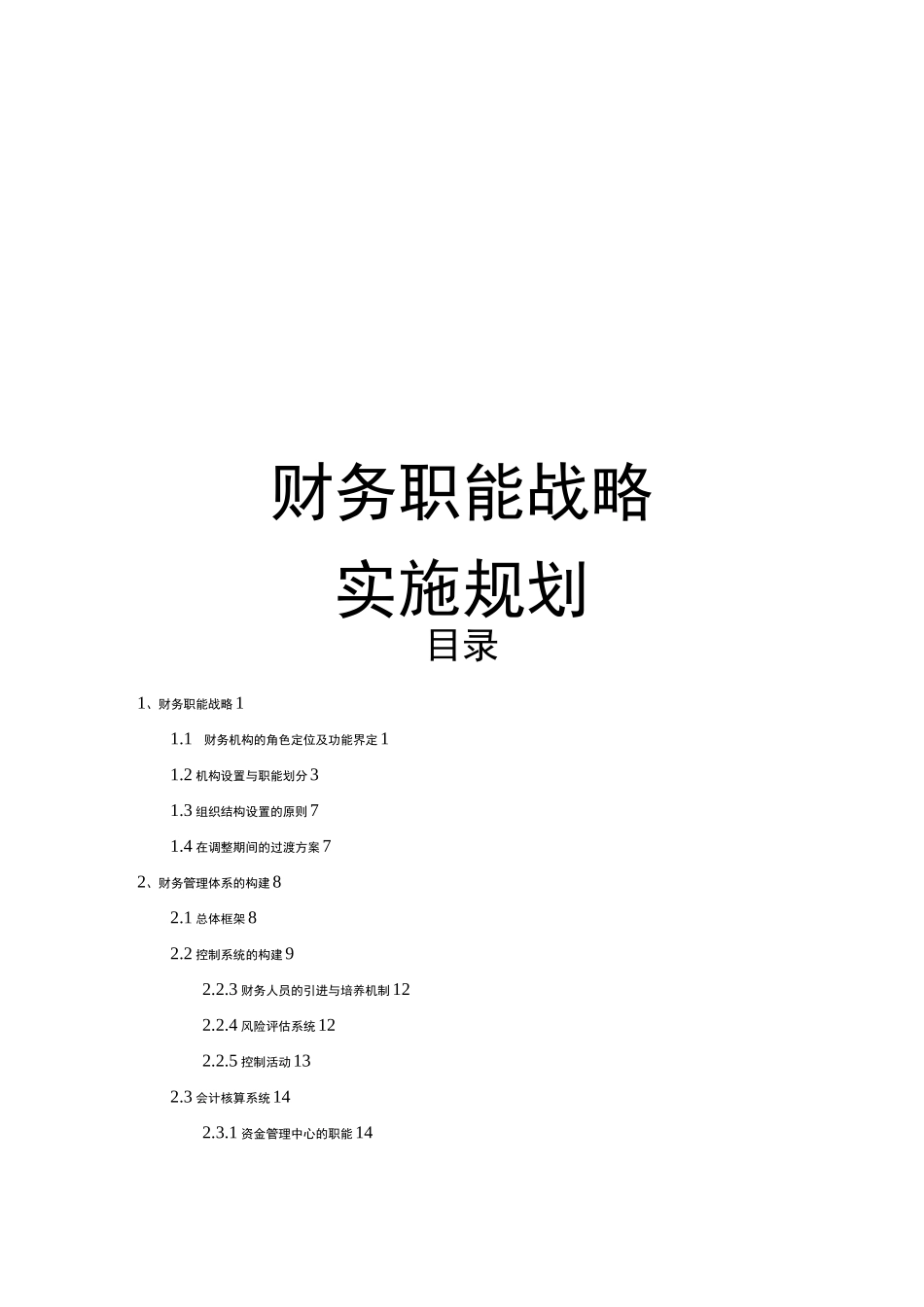 财务职能战略实施规划_第1页