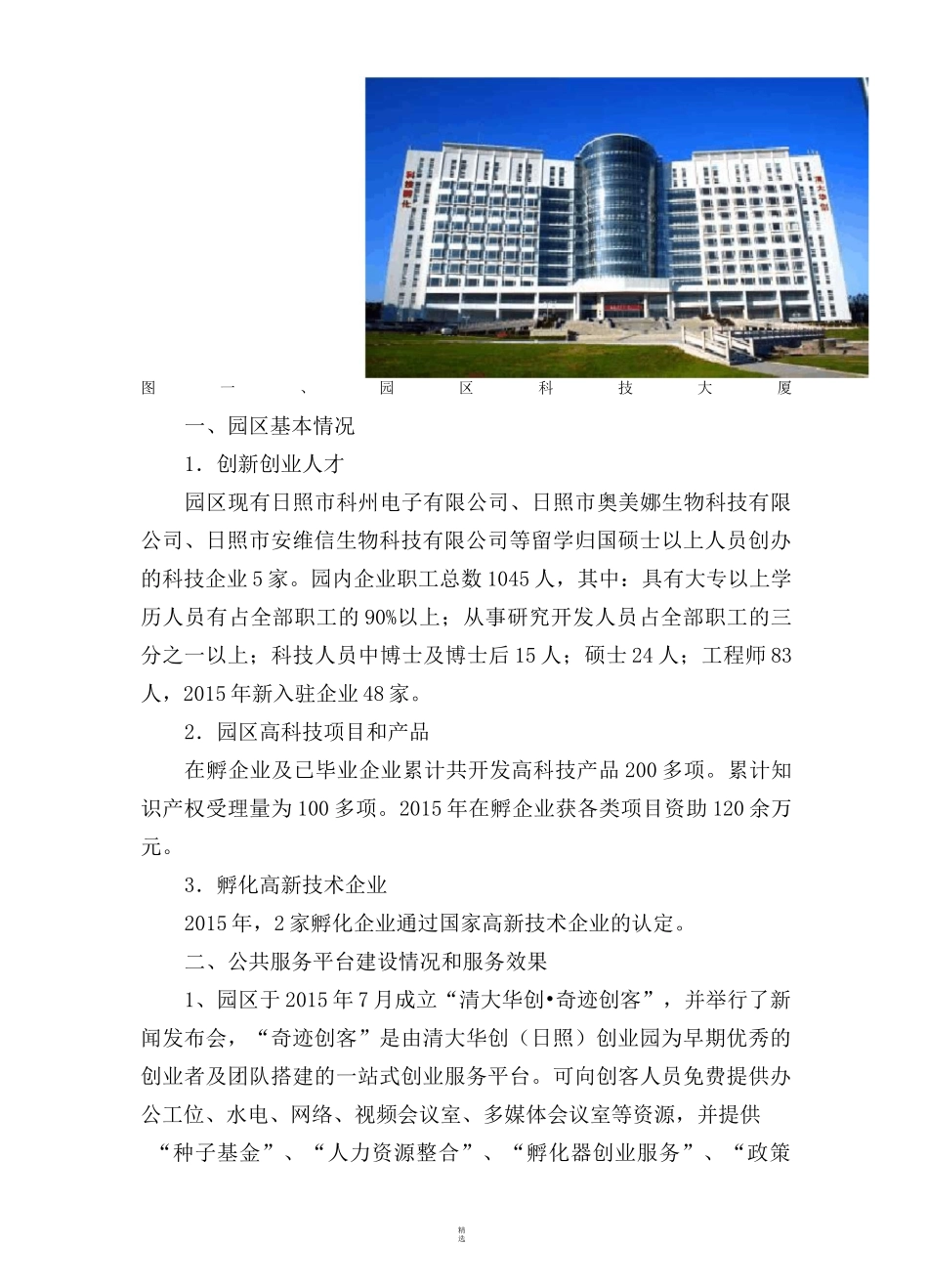 科技孵化器工作总结_第2页