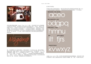 一个纯字体标志设计的案例