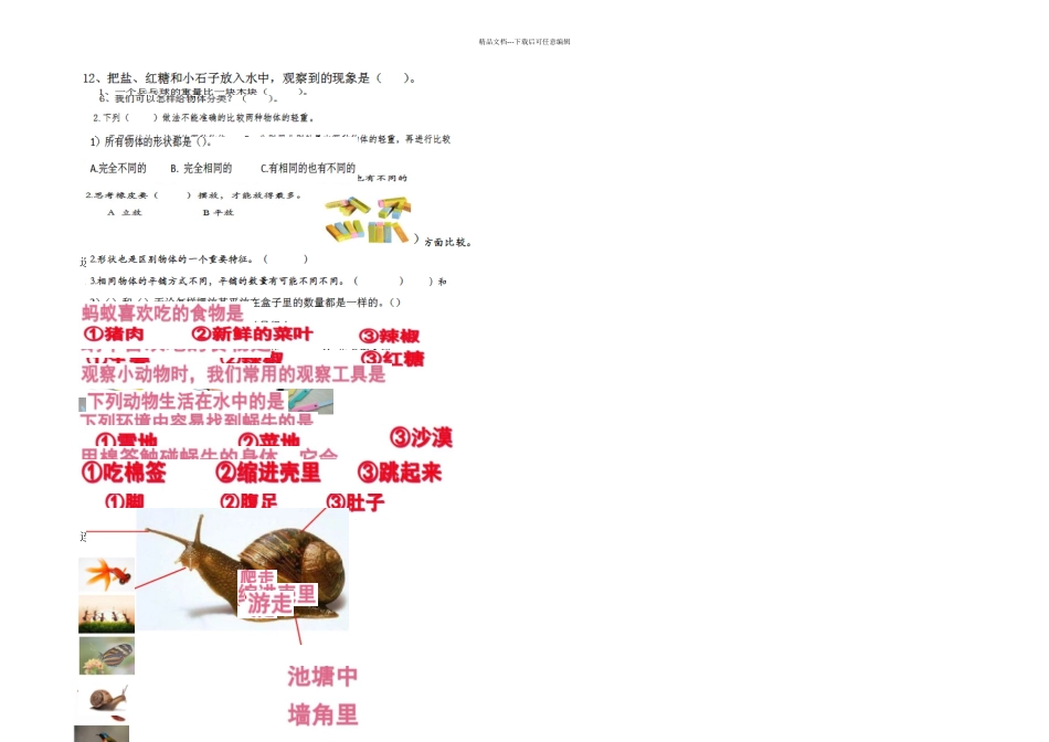 一年级下册科学练习_第1页