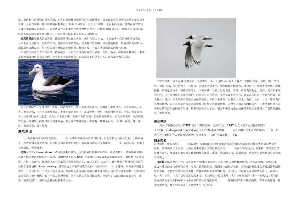 一级保护鸟类_第2页