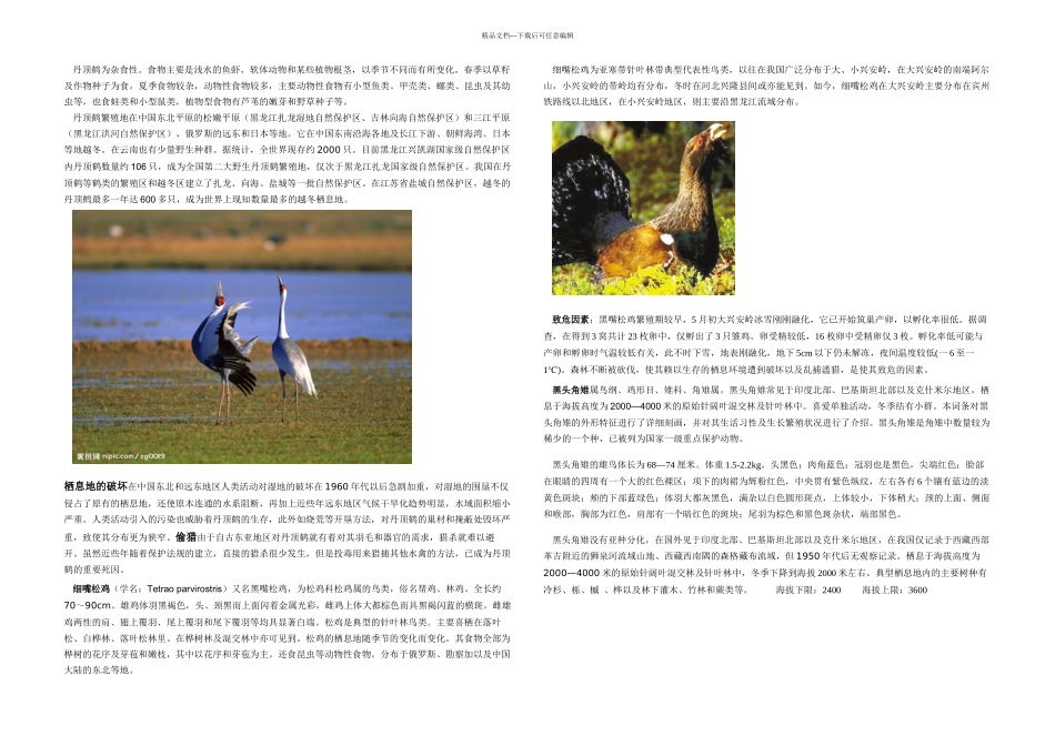 一级保护鸟类_第3页