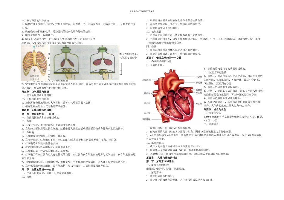 七年级下册生物圈中的人_第2页