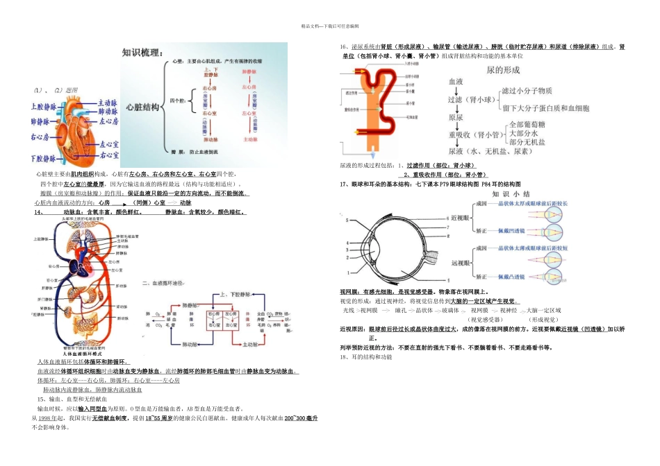 七年级下册生物复习提纲_第2页