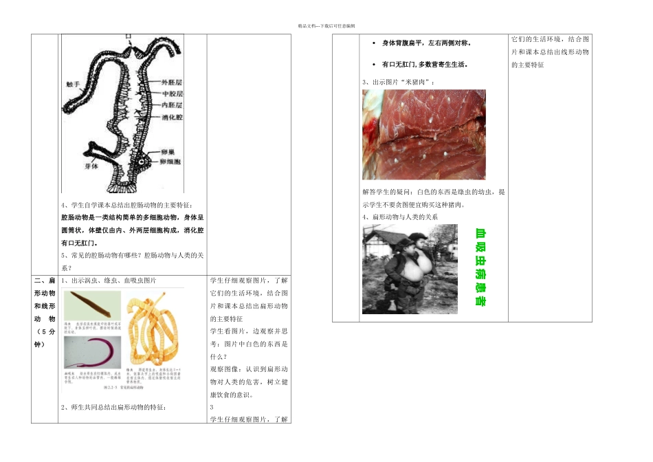七年级生物上册无脊椎动物的主要类群_第2页