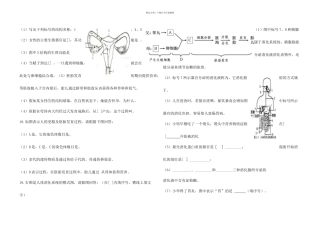 七年级生物学下册识图题