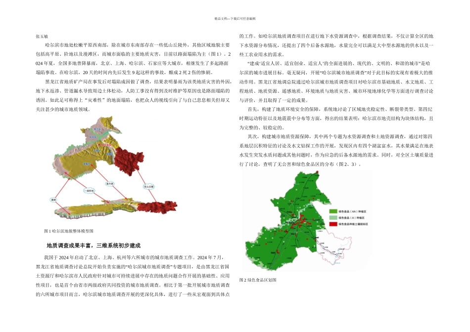 三维可视地质信息系统听诊哈尔滨城市地质_第1页