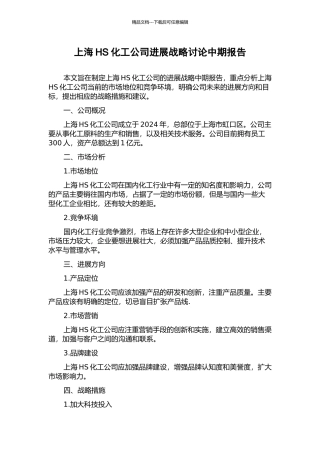 上海HS化工公司发展战略研究中期报告