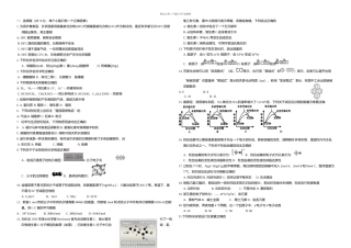 上海市高中化学竞赛华理—化工杯初赛试题
