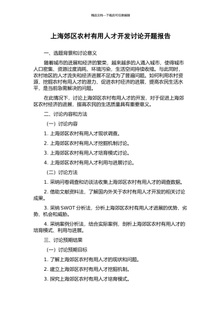 上海郊区农村实用人才开发研究开题报告
