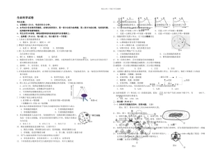 上海长宁区嘉定区高三一模生物试题及答案