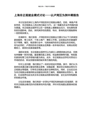 上海非正规就业模式研究——以卢湾区为例中期报告