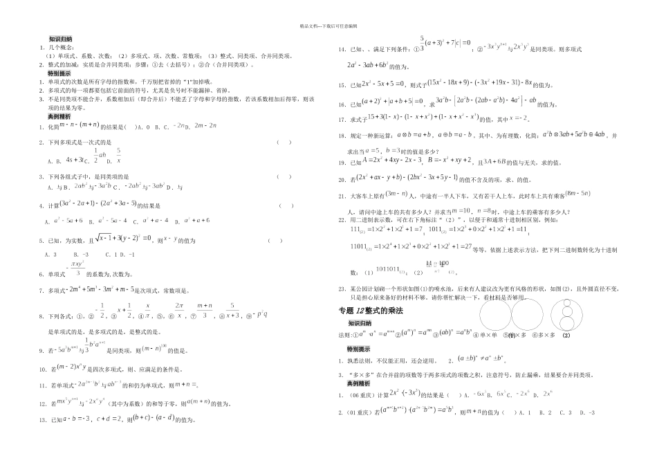 专题辅导整式_第1页