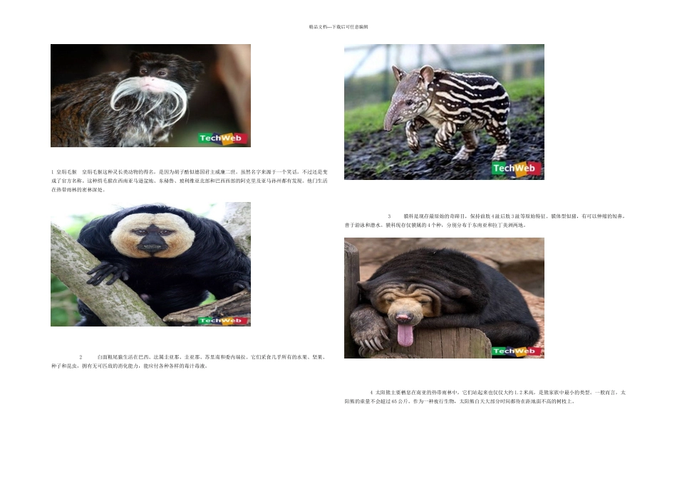 世界上最有趣的动物_第1页
