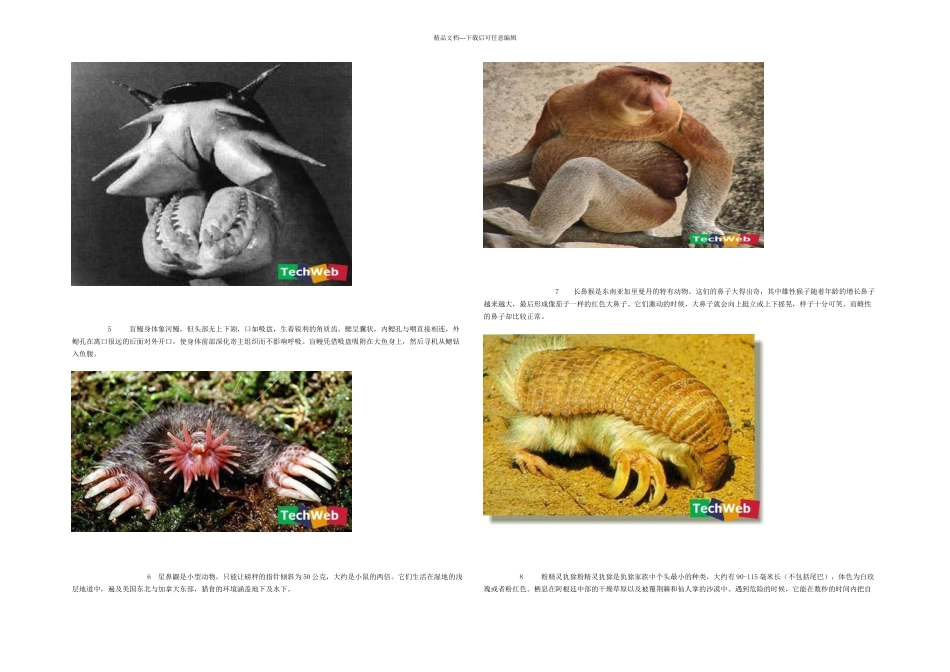 世界上最有趣的动物_第2页