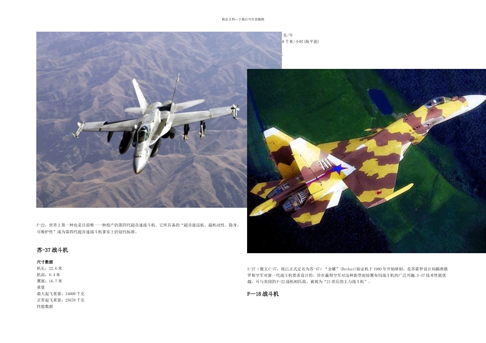 世界主流战斗机介绍_第2页