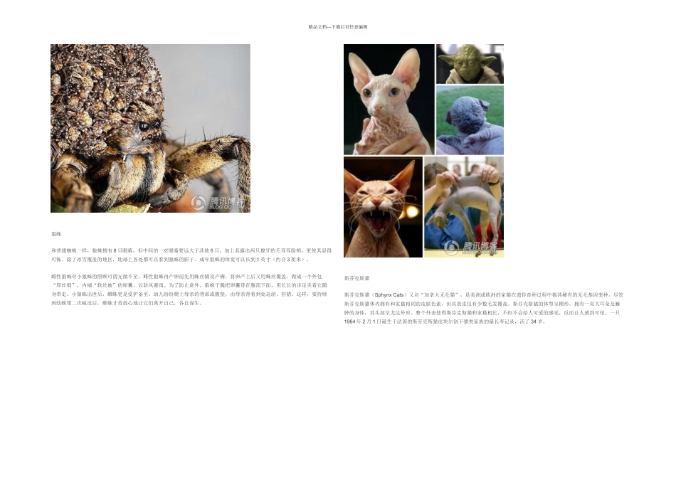 世界上最丑陋的种动物_第2页