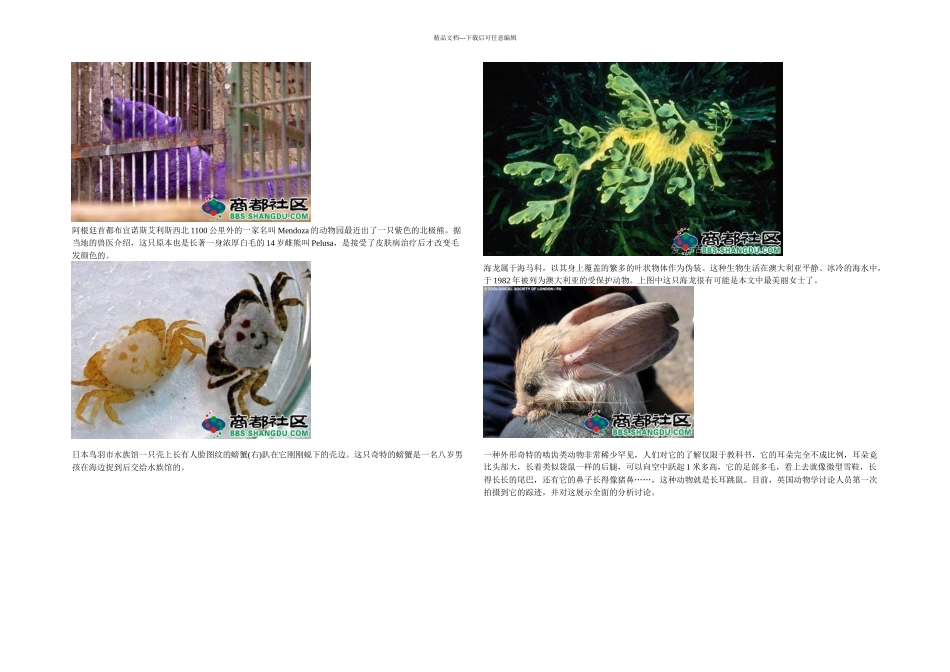 世界上罕见动物_第1页