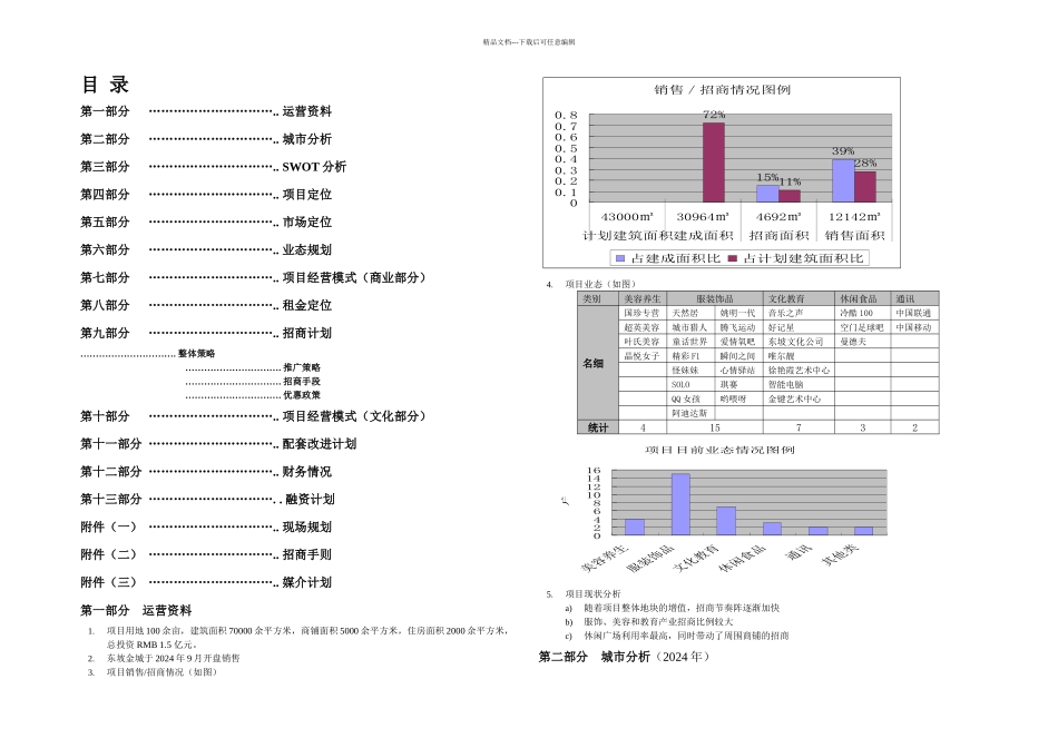 东坡金城商业计划书_第1页