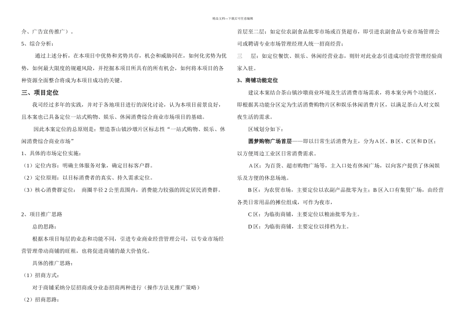 东莞市茶山镇沙墩购物广场项目策划提案_第3页