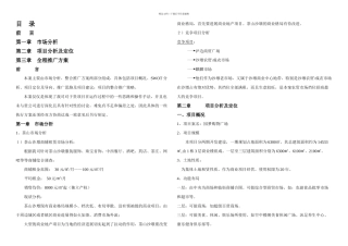 东莞市茶山镇沙墩购物广场项目策划提案