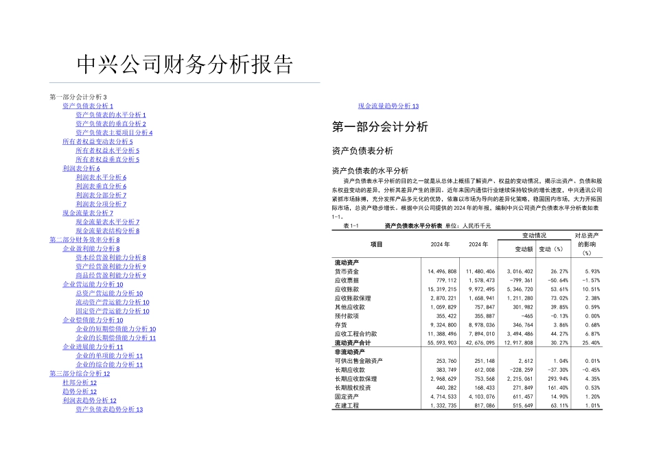 中兴公司财务分析_第1页