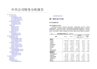 中兴公司财务分析