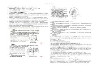 中南大学X射线试题及答案