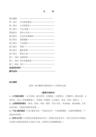 国际投资有限公司《商业计划书》规范化格式(中文版)