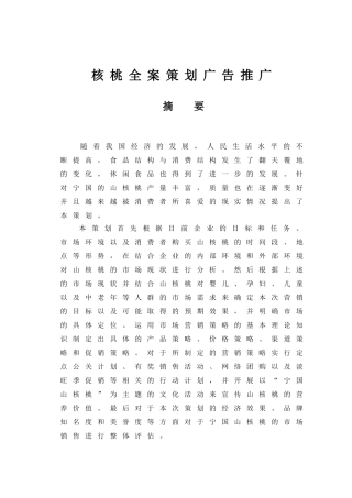 核桃全案策划广告推广商业计划书