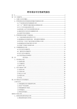 呼市项目可行性研究报告