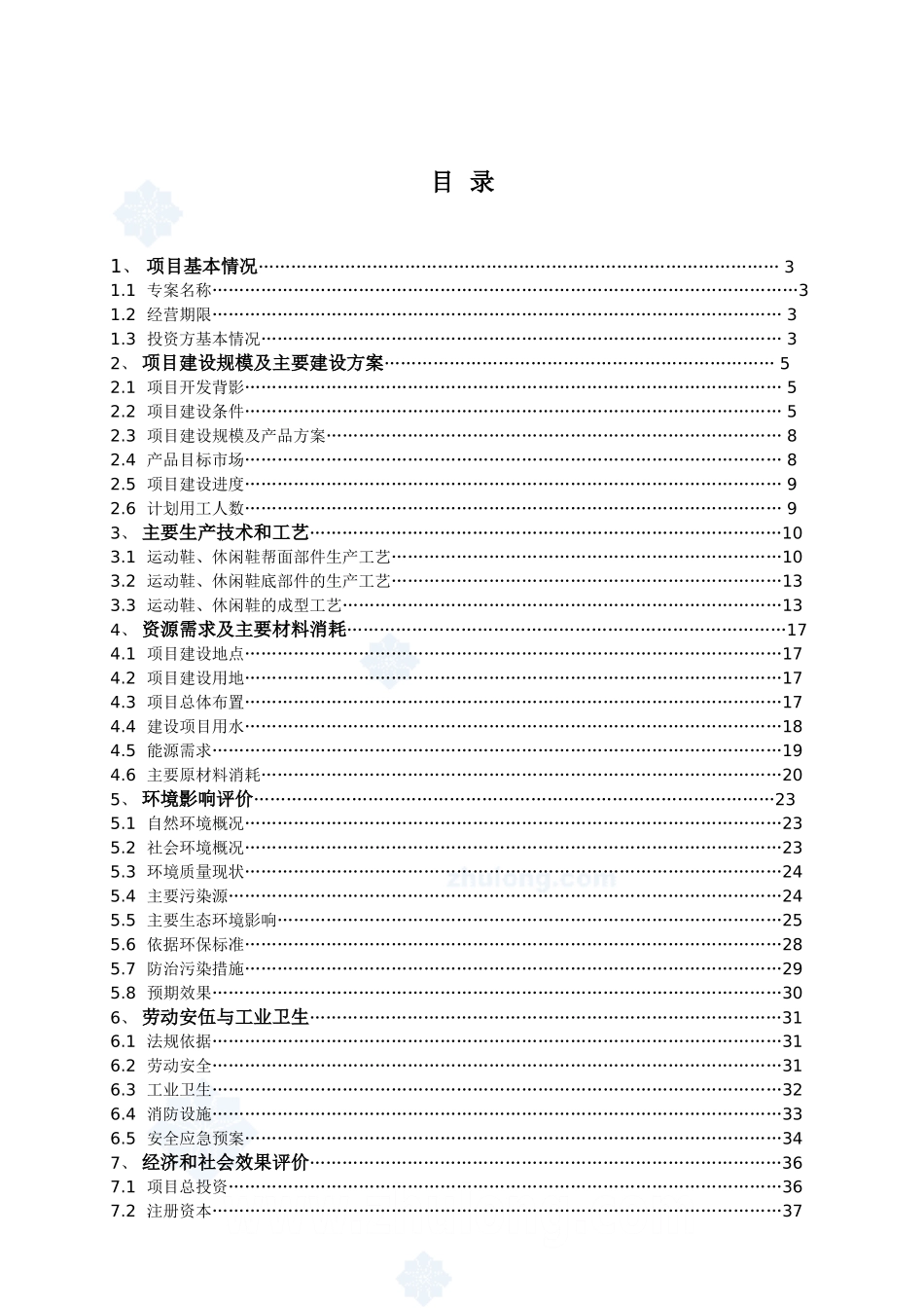 江西某鞋业有限公司项目可研报告_第1页