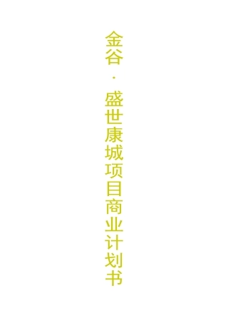 金谷.盛世康城项目商业计划书